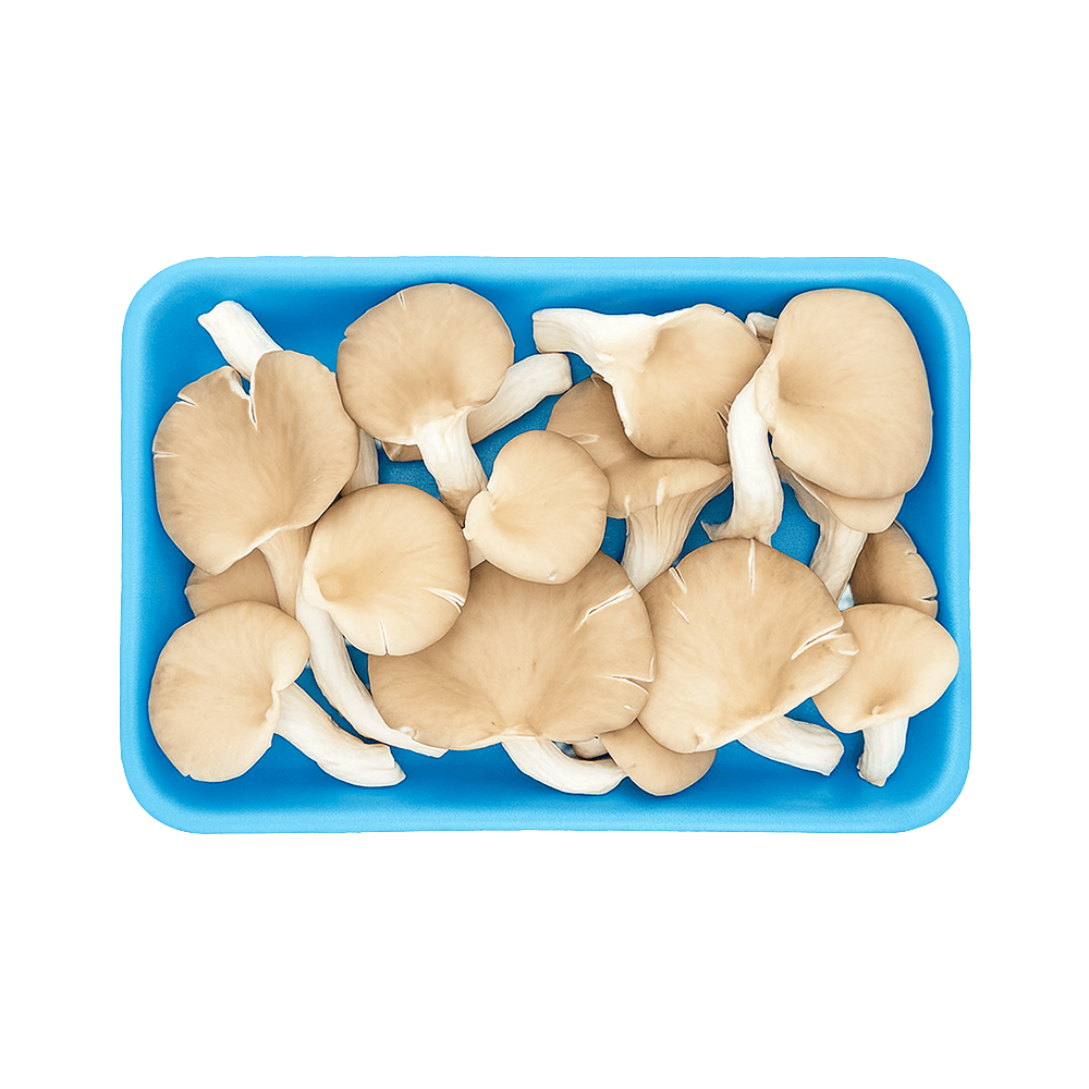 İstiridye Mantarı Paket 300 g görseli