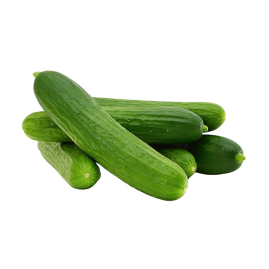 Salatalık 1 kg görseli