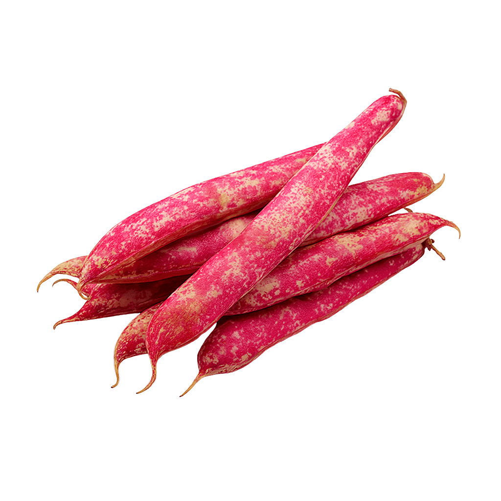 Taze Barbunya 1 kg görseli