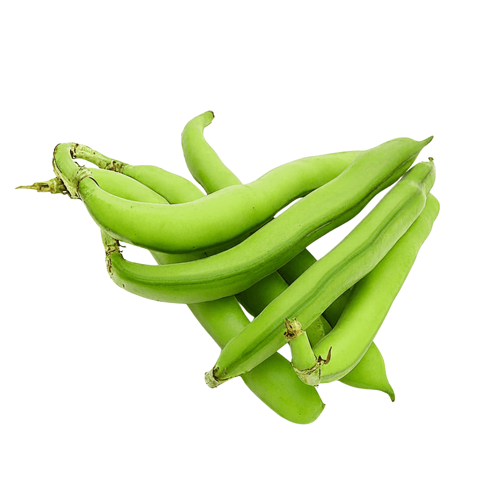 Sakız Bakla 1 kg görseli