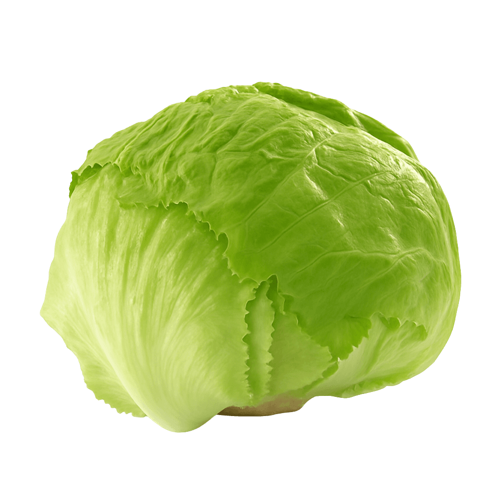Göbek Marul görseli