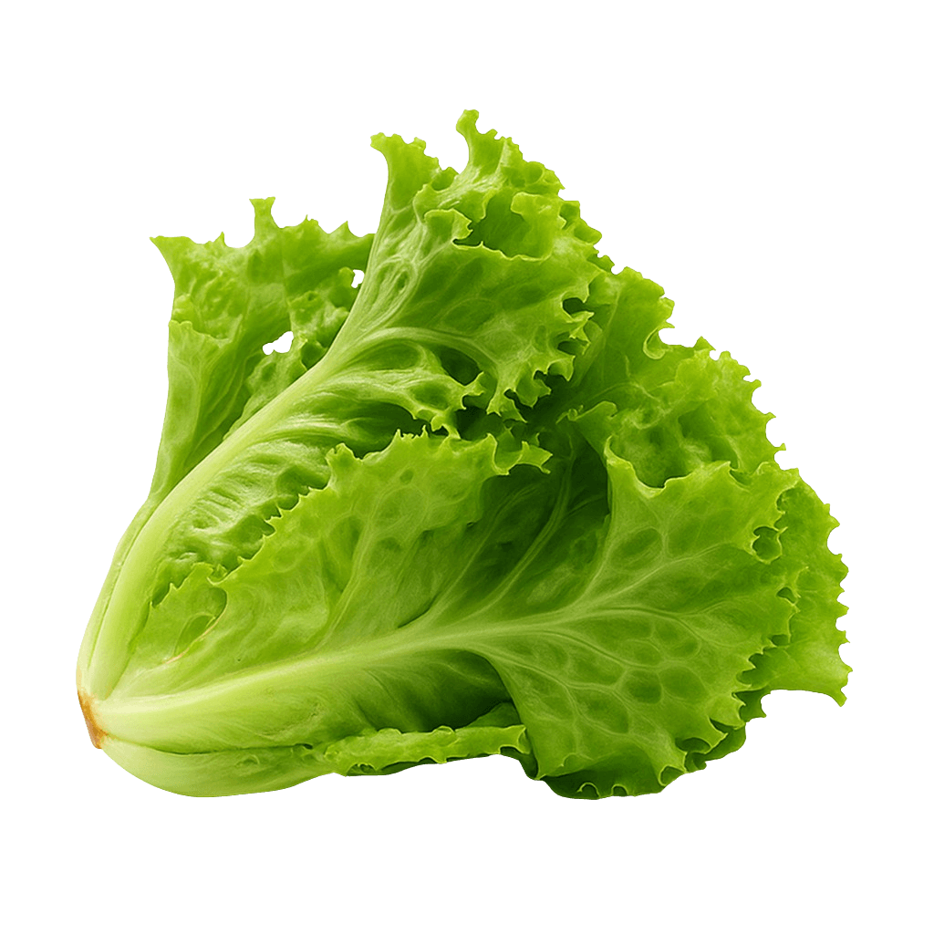 Kıvırcık Adet görseli