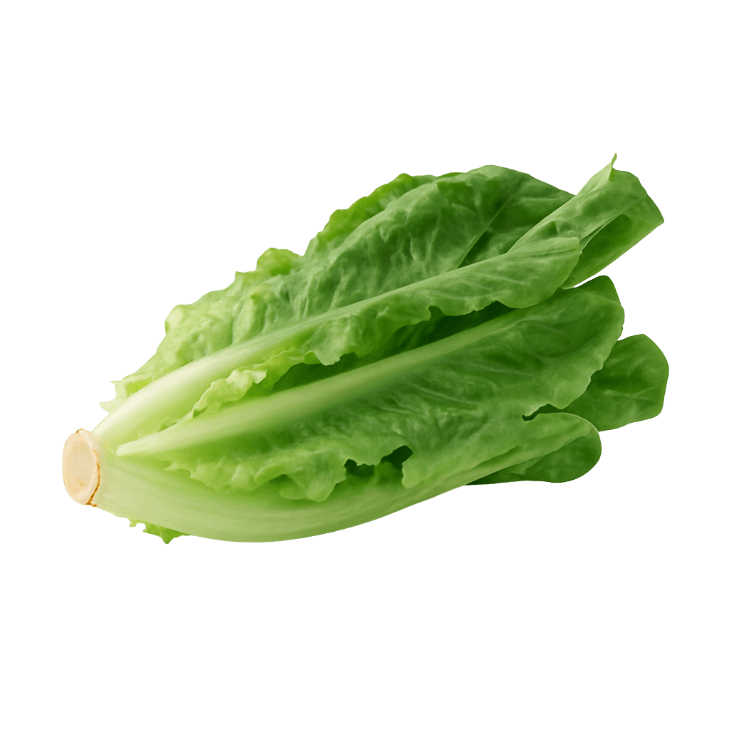 Marul Adet görseli